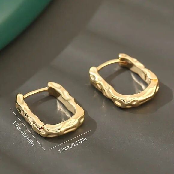 Small Hammered Hoop Earrings - Picture 4 of 5